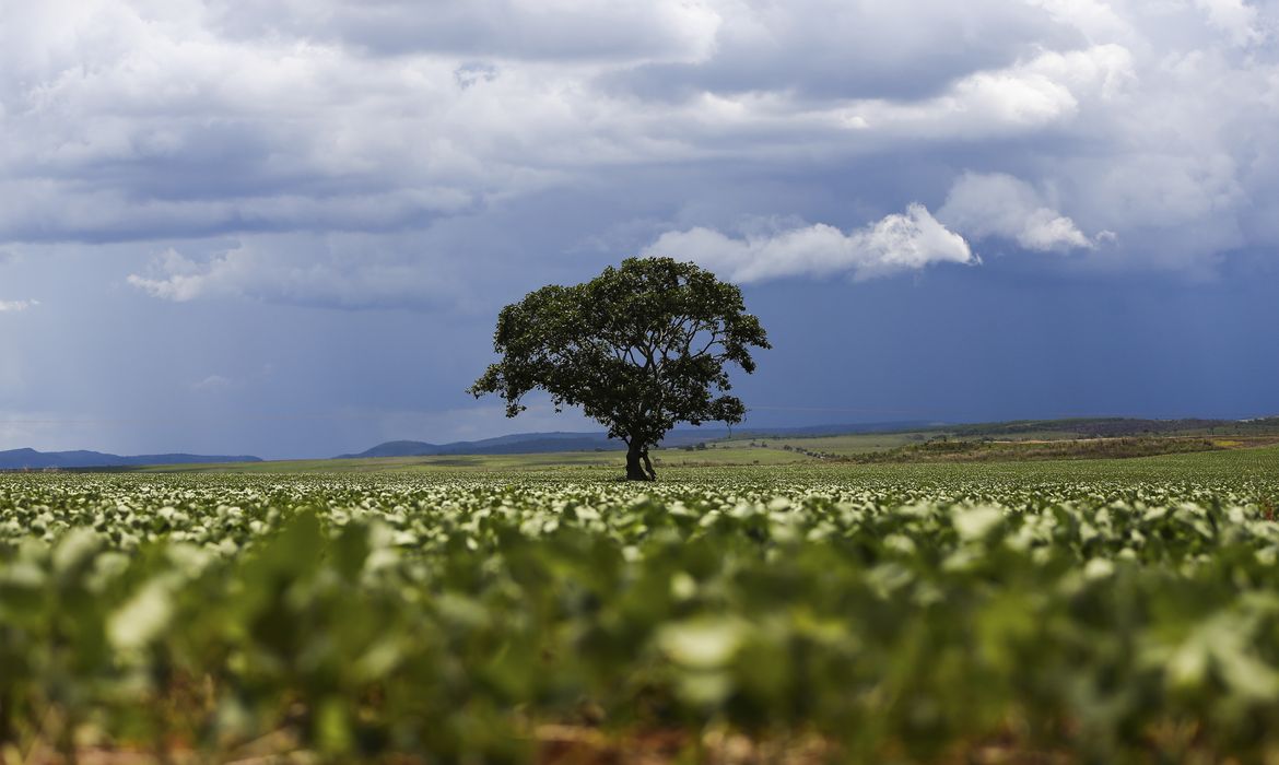 Crédito rural financiou R$ 92,4 bi em áreas com alertas ambientais 1 1057811 ebc 07.12.2016 2948 07.12.16
