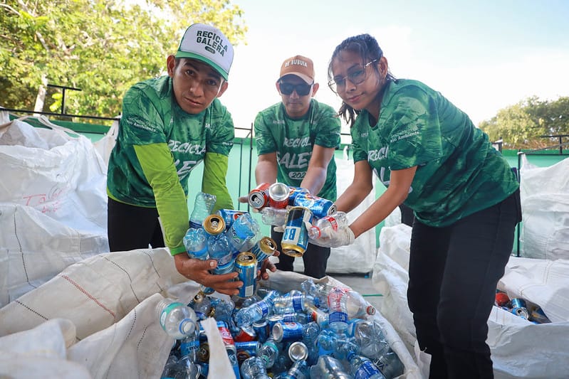 Sema RECICLA GALERA GERAL5