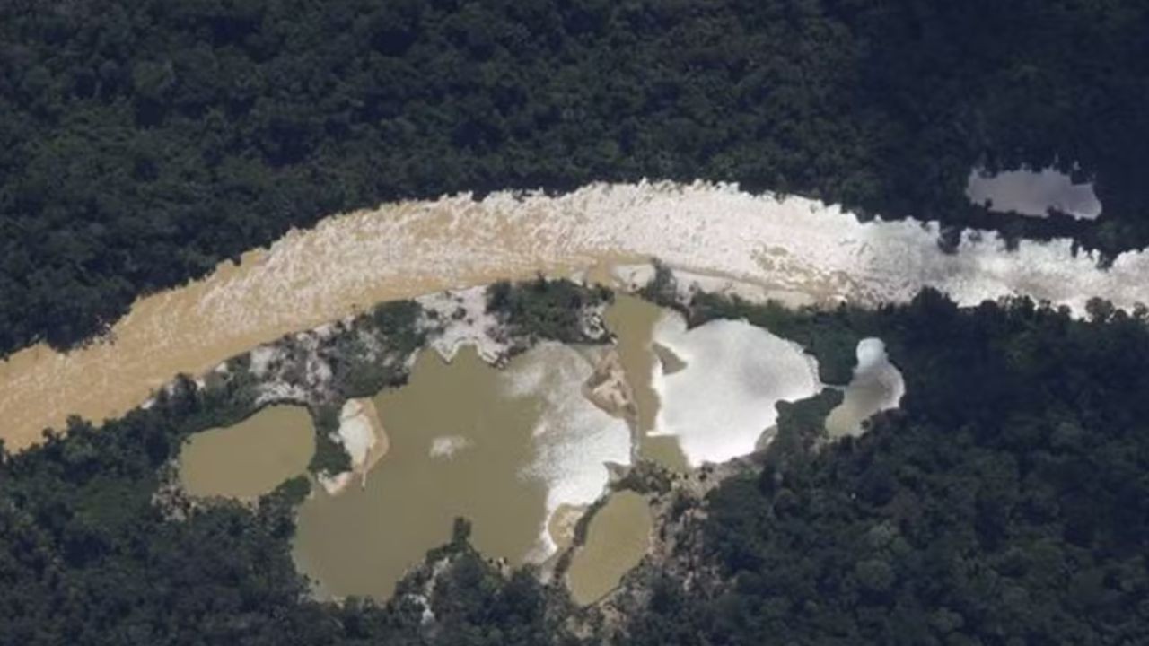 area de garimpo ilegal no interior do amazonas foto divulgacao