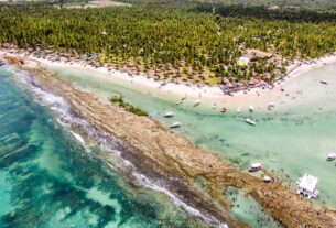 area de protecao ambiental costa dos corais recifes de corais na praia dos carneiros pernambuco