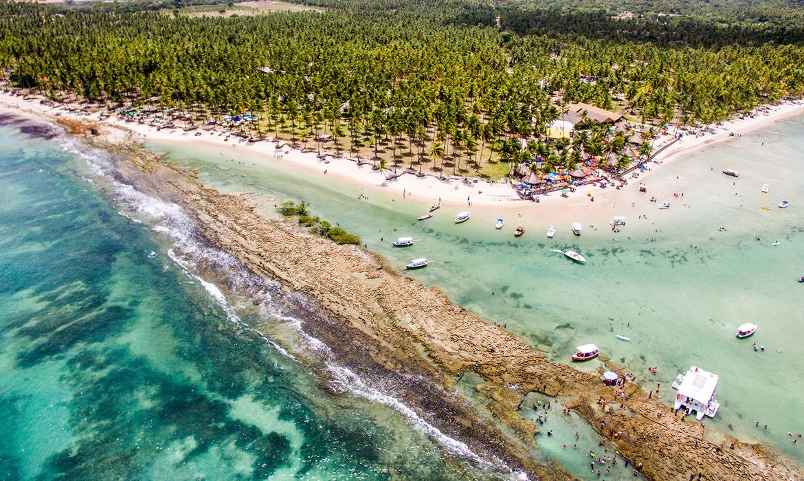 area de protecao ambiental costa dos corais recifes de corais na praia dos carneiros pernambuco