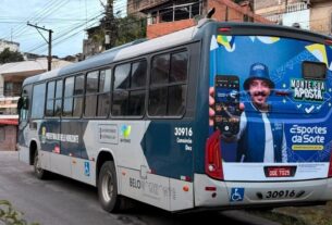 cmbh camara de bh
