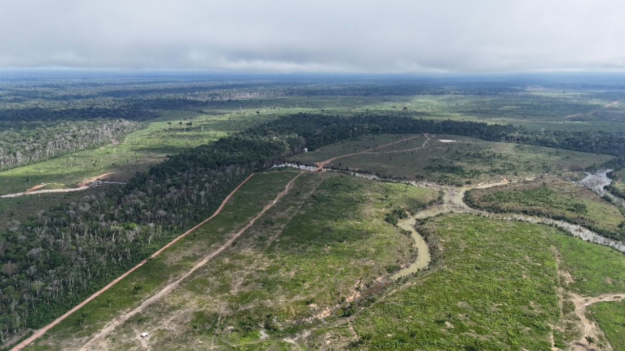 desmatamento ilegal em borba rende maior multa ambiental do amazonas em 2025 foto henrique almeida ipaam