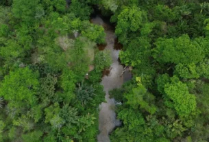 dji 0259 0