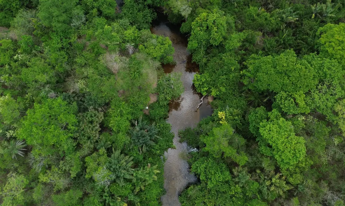 dji 0259 0