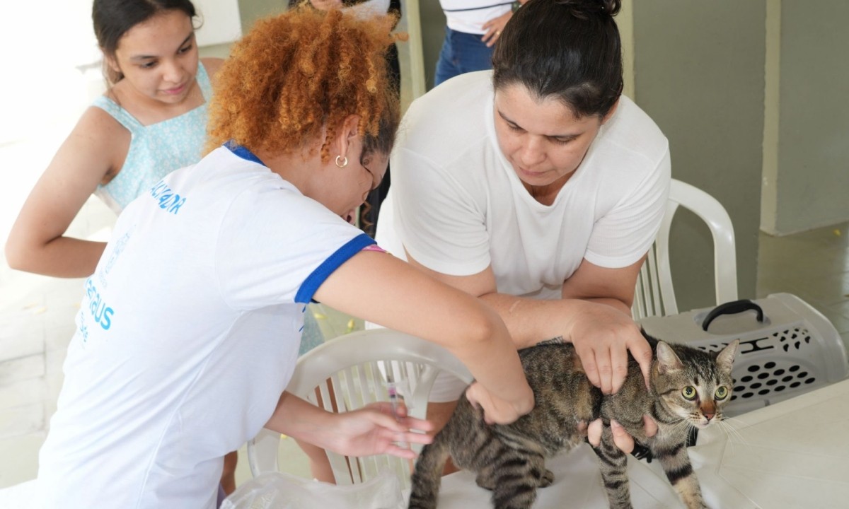 profissional vacinadora aplica a antirrabica no animal em manaus