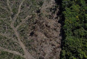 2022 10 07t171259z 1021400778 rc2l7v9lsv3p rtrmadp 3 brazil environment