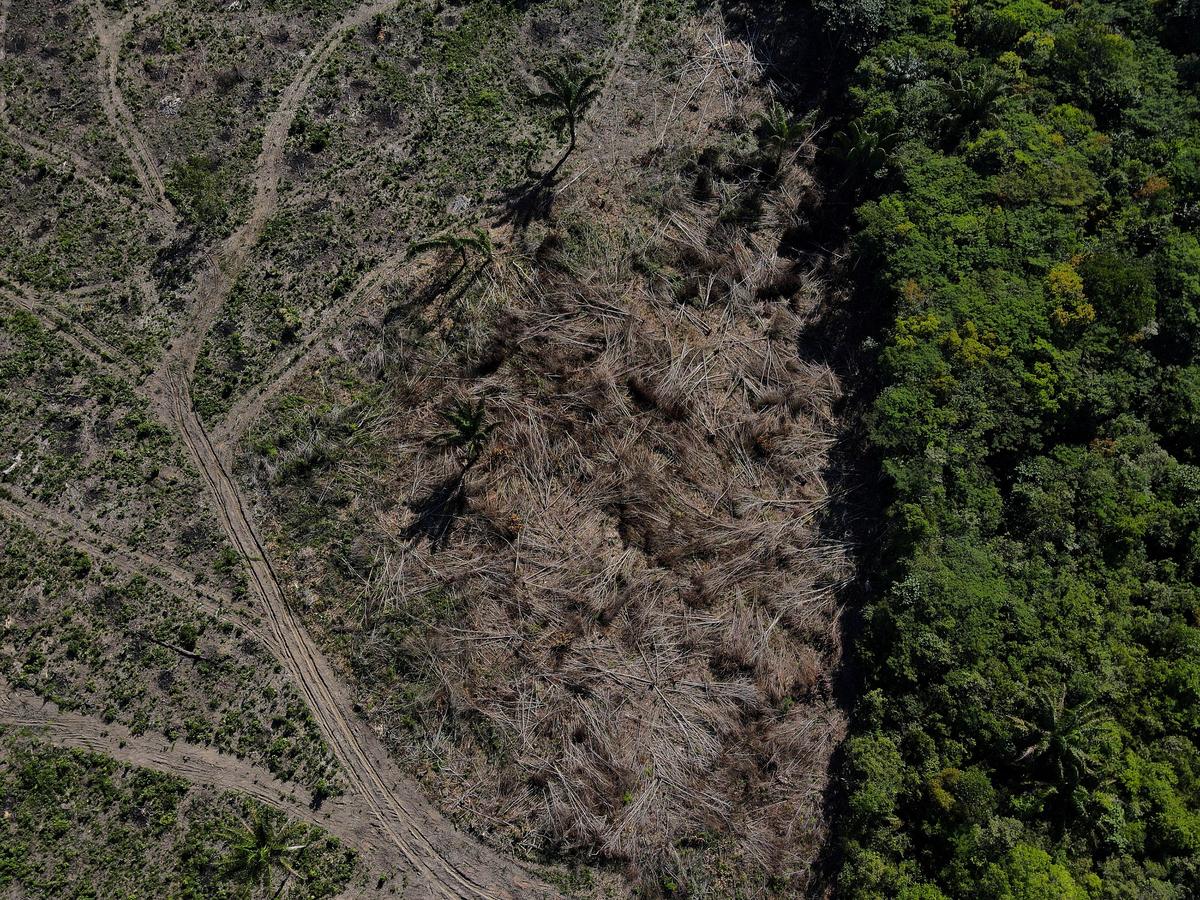 2022 10 07t171259z 1021400778 rc2l7v9lsv3p rtrmadp 3 brazil environment