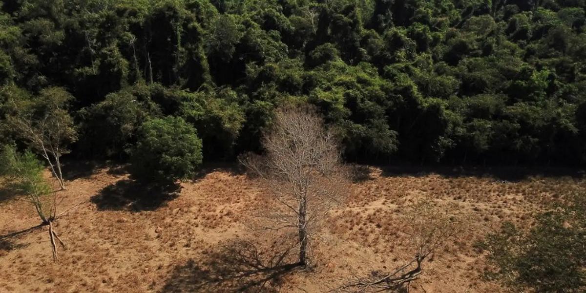 Brasil sob pressão: especialistas cobram ações práticas após metas ambiciosas na COP17 1 2023 01 04t011928z 1 lynxmpej0300u rtroptp 3 brazil environment