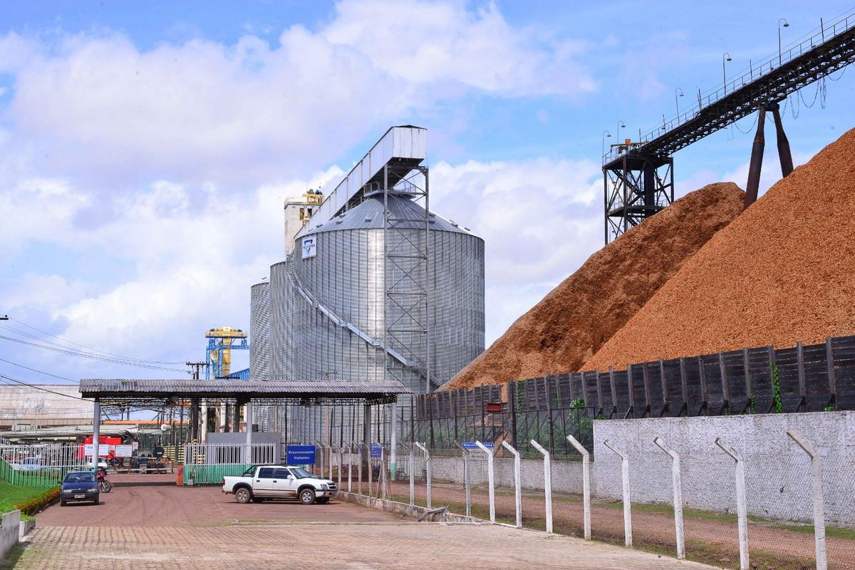 Porto de Santana se consolida como eixo estratégico para o escoamento da soja brasileira 1 2bbfb917 4fba 40f6 9095 6a4c6e321207