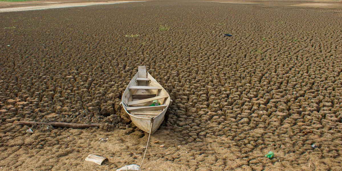 Brasil assume compromisso global para recuperar 163 mil km² de terras degradadas até 2030 1 51193516920 577083d428 k