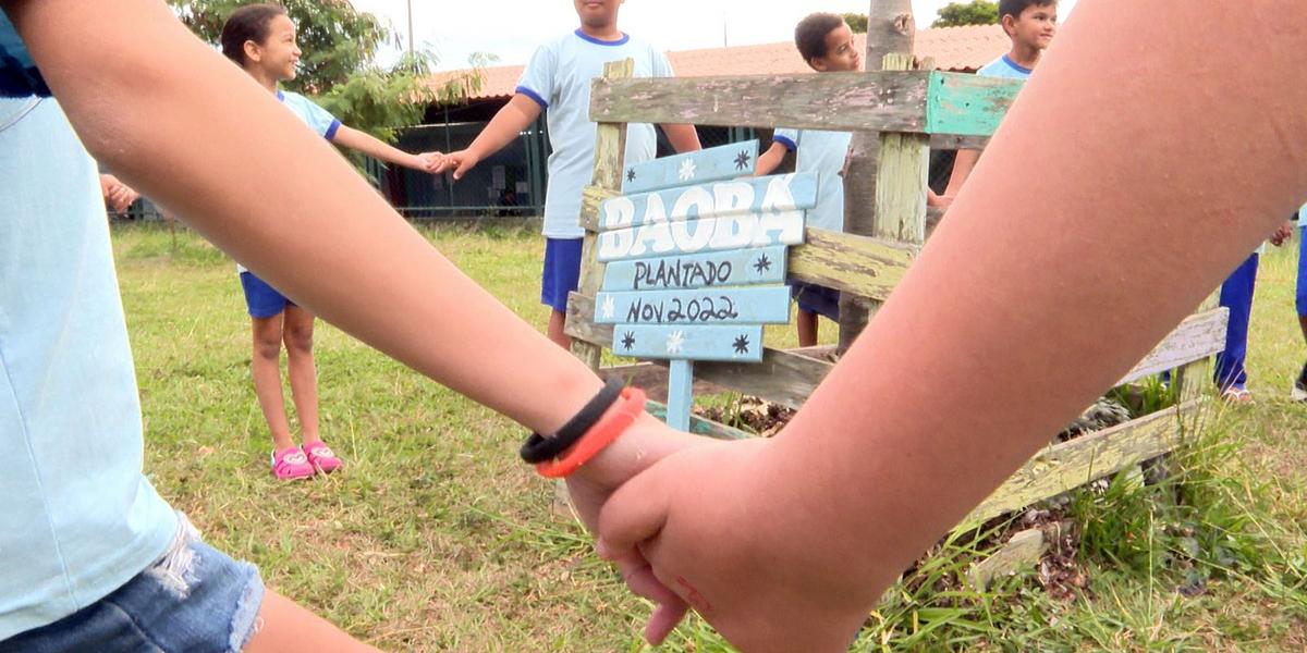 alunos aprendem sobre cultura e ancestralidade no plantio do baoba