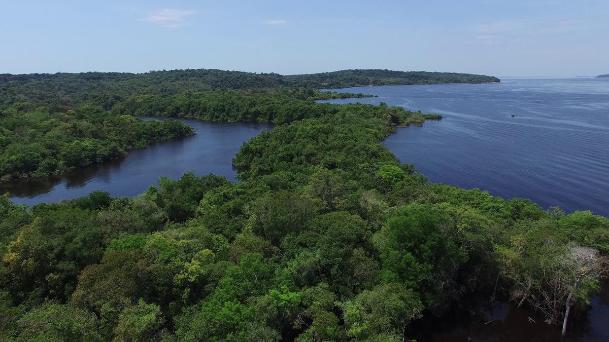 amazonriveraventurasproducoes19