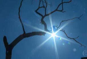 calor df