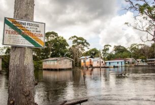 comunidade esta localizada na reserva de desenvolvimento sustentavel mamiraua foto bernardo oliveira