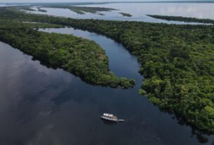 felipe anavilhanas amazonas