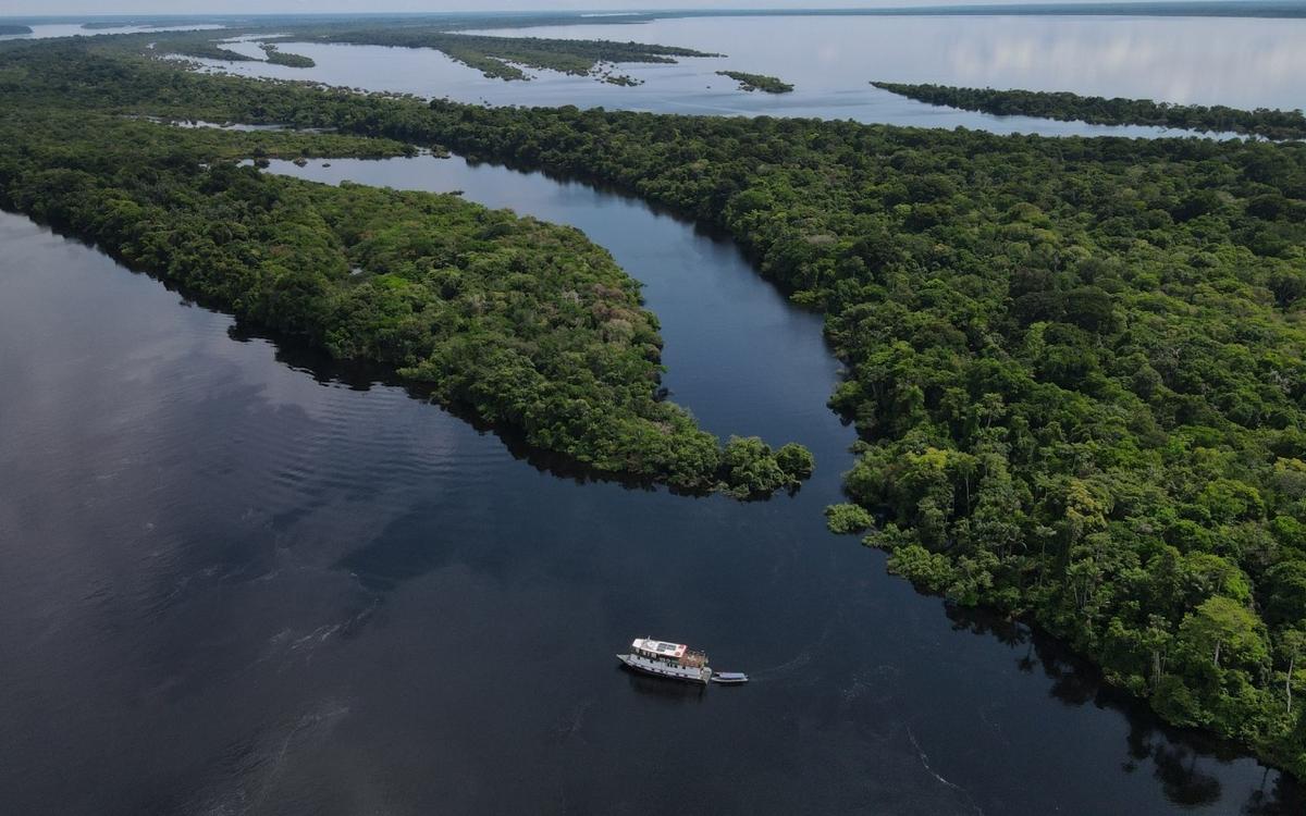 felipe anavilhanas amazonas