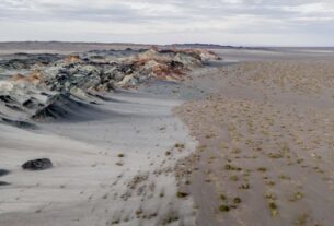 fungos podem restaurar terras degradadas e combater crise climatica01