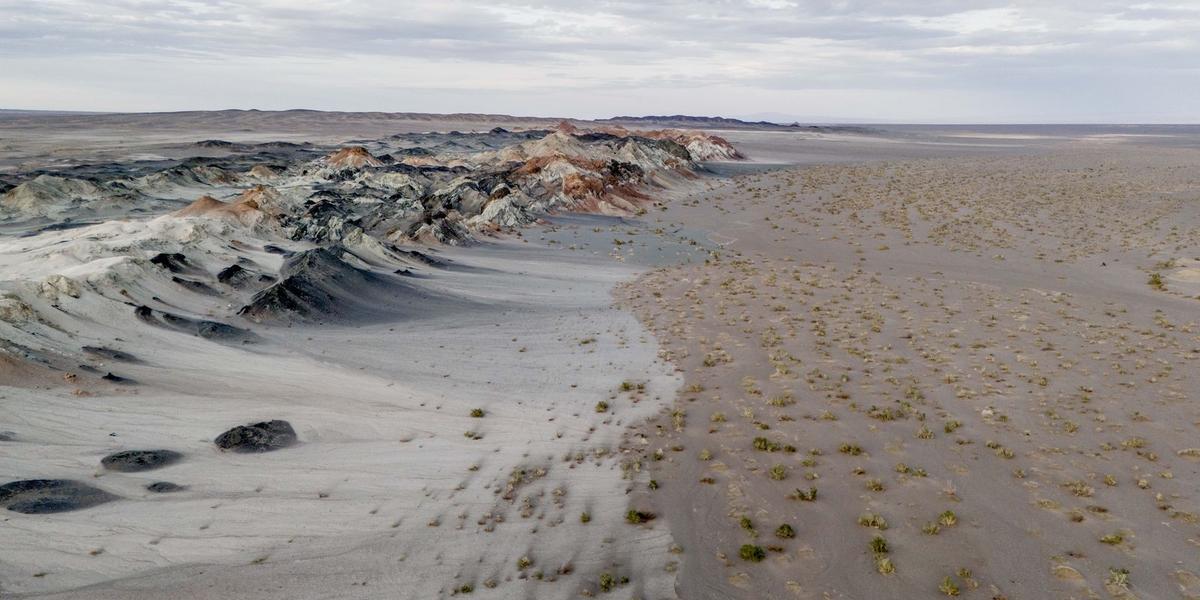 fungos podem restaurar terras degradadas e combater crise climatica01