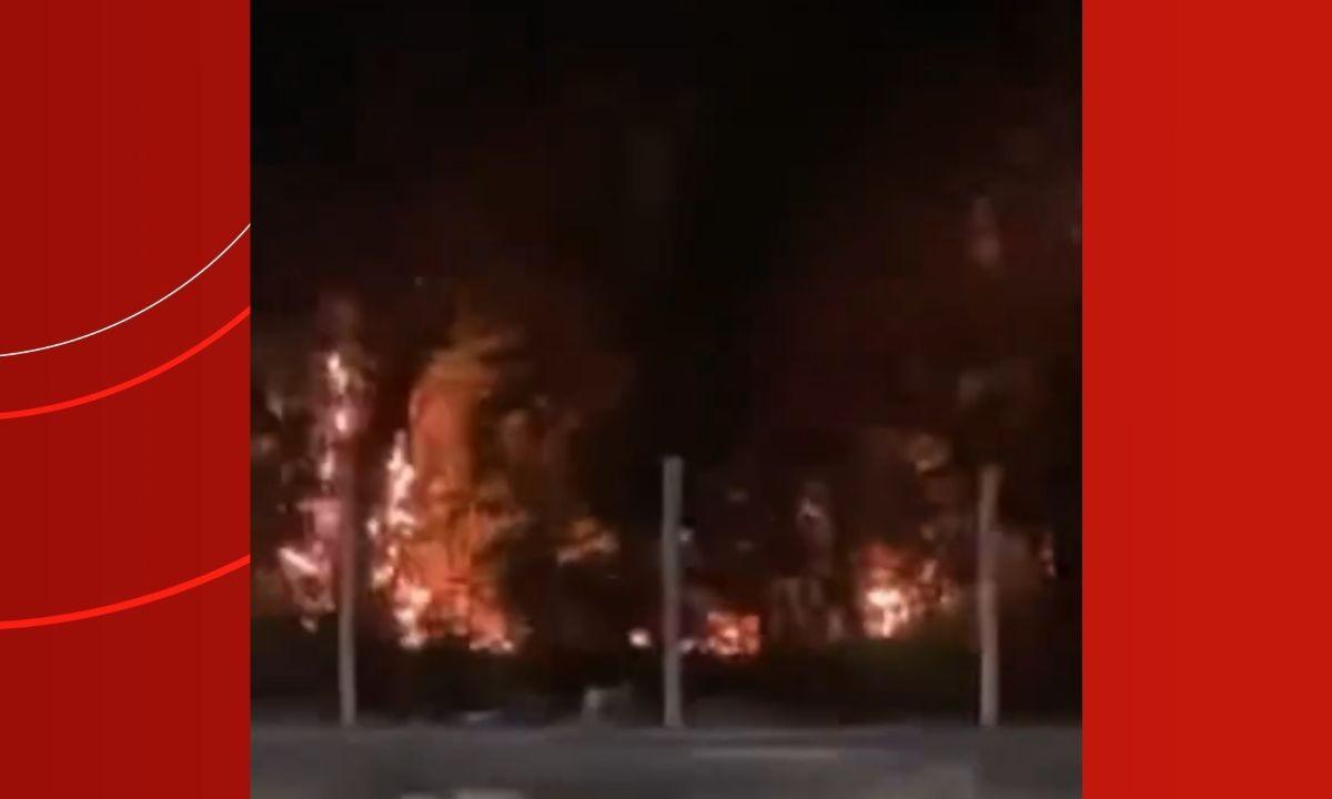 g1 incendio vegetacao dom pedro