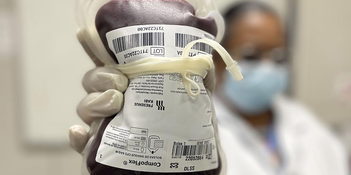 Junho Vermelho: Nova lei reforça conscientização sobre a doação de sangue no Brasil 1 img 2738 topaz enhance sharpen