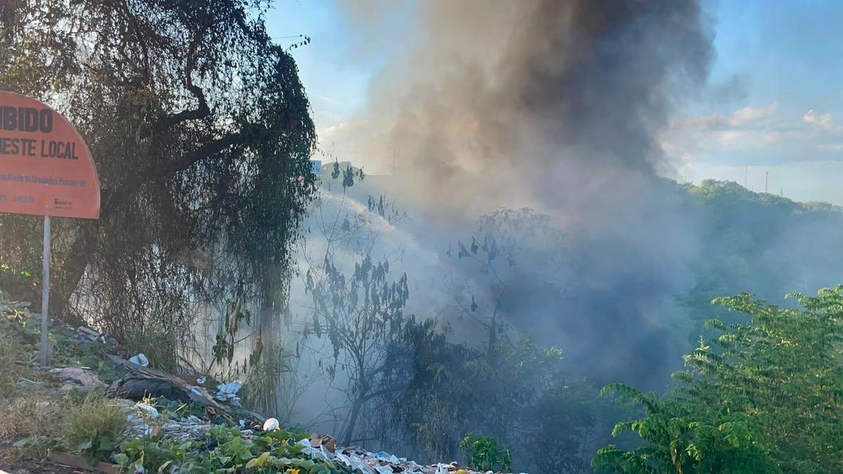 incendio atinge area de mata no distrito industrial em manaus foto lucas macedo g1 am