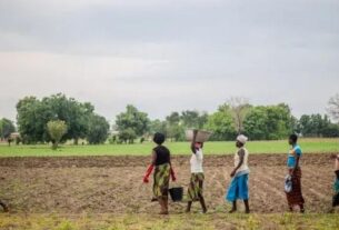 mulheres beneficiadas pelos processos de restauracao da terra em burkina faso