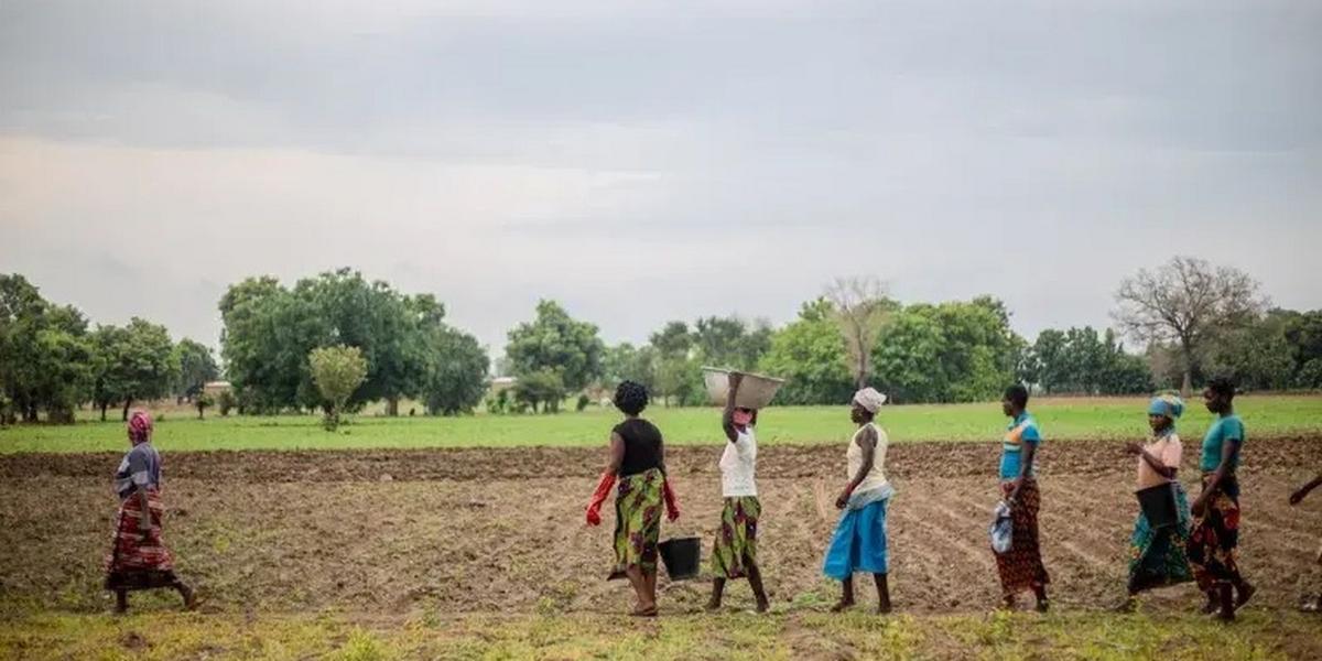 mulheres beneficiadas pelos processos de restauracao da terra em burkina faso