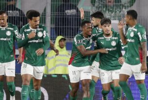 palmeiras libertadores