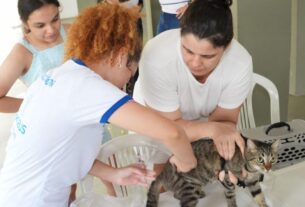 profissional vacinadora aplica a antirrabica no animal em manaus