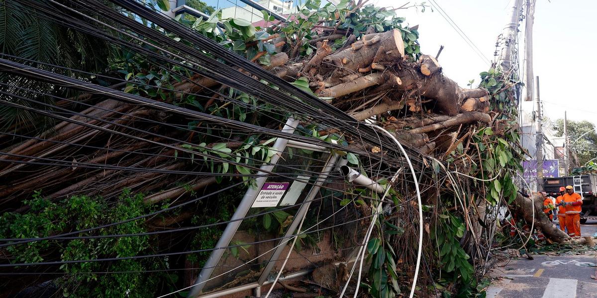 Crise climática coloca à prova a resiliência das redes elétricas brasileiras 1 rbr2785