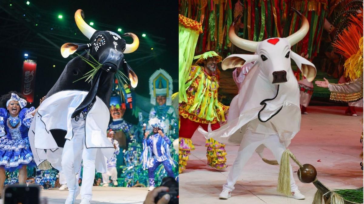 Bastidores em ebulição: Chapas estão definidas para a eleição dos bumbás Caprichoso e Garantido 1 caprichoso e garantido no festival de parintins 2026 fotos secom