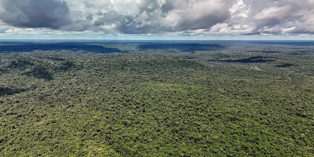 Governo garante US$ 1 bilhão do BID para acelerar a transição ecológica no Brasil 1 dji 20260514133612 0223 d 55279773377 o